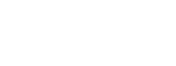 Fortuna logo